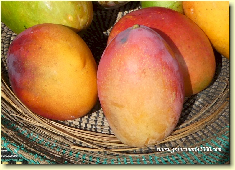 mango