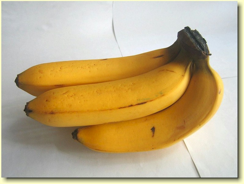 Lacatn bananer. Foto lnt fra Wikipedia