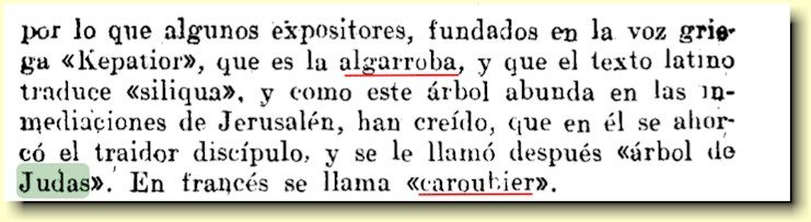 Faksimile fra Jos Viera y Clavijo: Diccionario de historia natural de las Islas Canarias, side 52 
